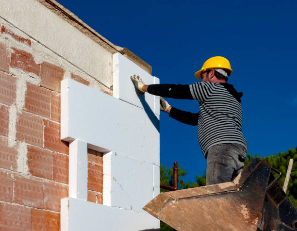 Best Insulation Contractor Near Me  in Lakeview, WA