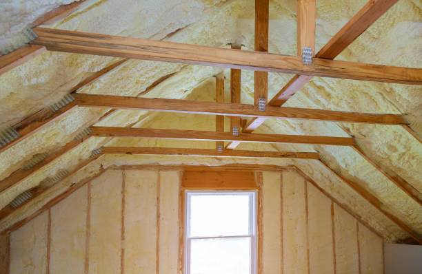 Best Cellulose Insulation  in Lakeview, WA