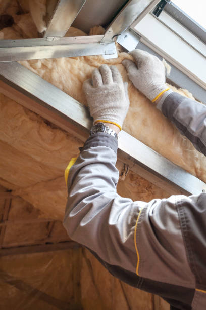 Best Insulation Repair Services  in Lakeview, WA
