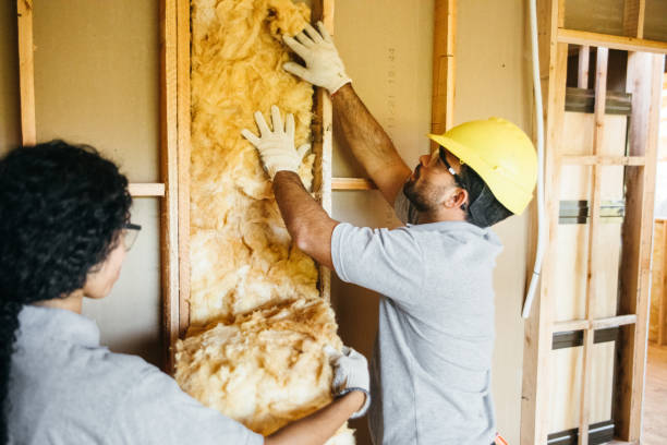 Best Wall Insulation Contractor  in Lakeview, WA
