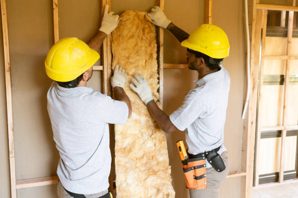 Best Crawl Space Insulation  in Lakeview, WA